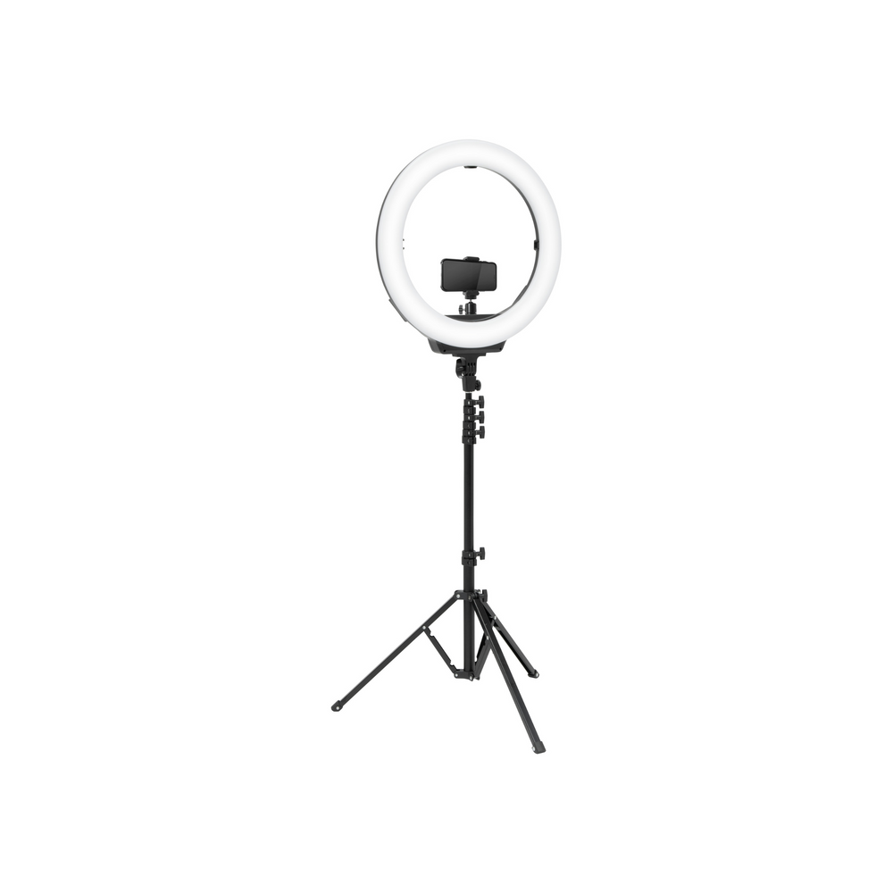 4imprint.com: Ring Light Clip 160755