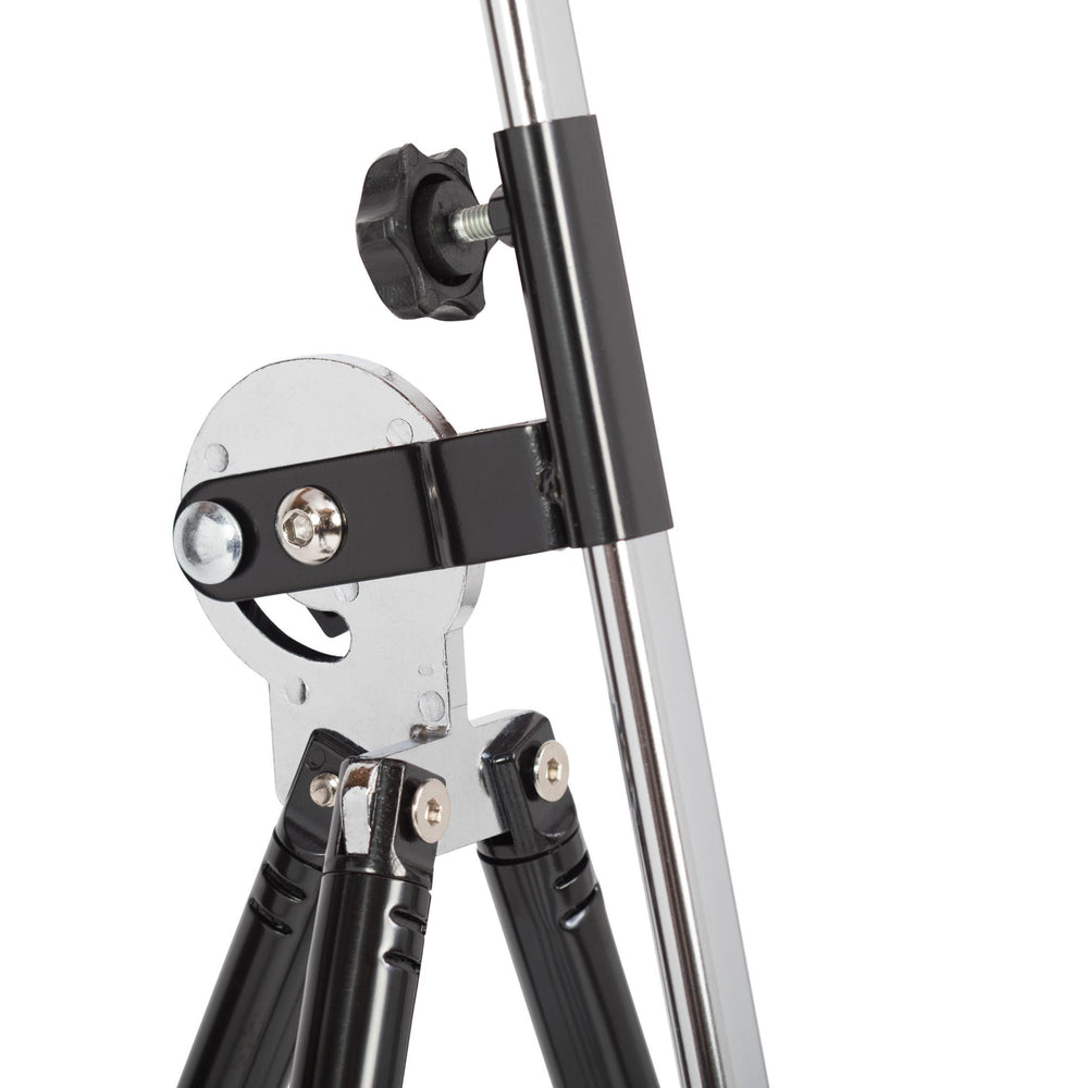 Student Field Artist Easel & Carrying Bag